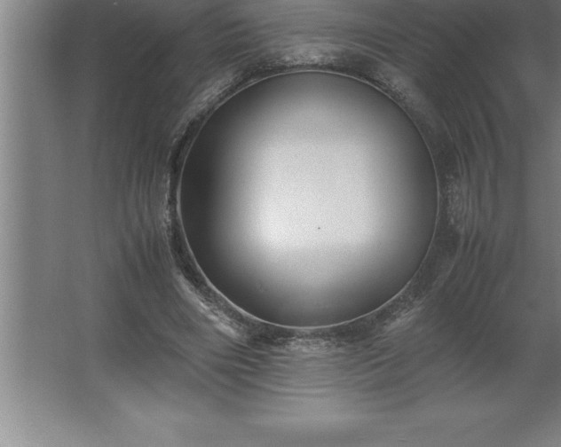 X0000062650490200512281651