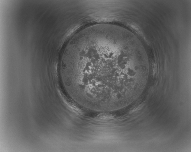 X0000062650491200512281651