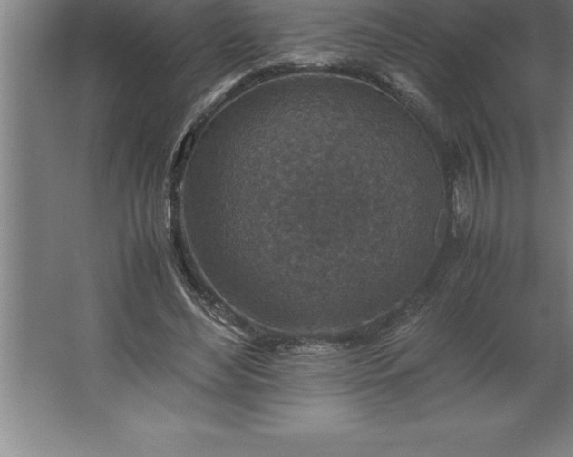 X0000062650492200512281651