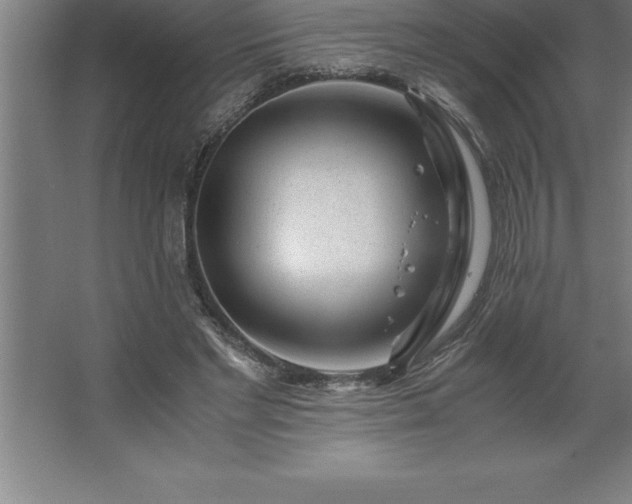 X0000062650493200512281651