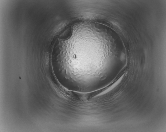 X0000062650495200512281651