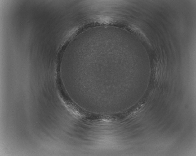 X0000062650496200512281651