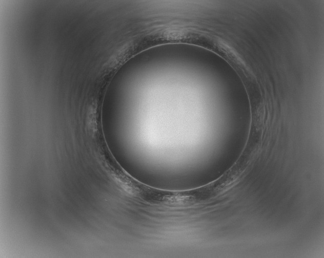 X0000062650497200512281651