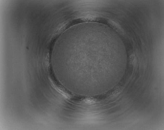 X0000062650498200512281651