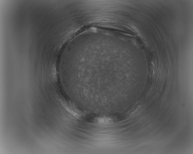 X0000062650500200512281651