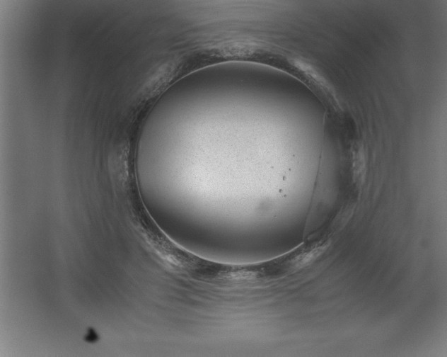 X0000062650501200512281651