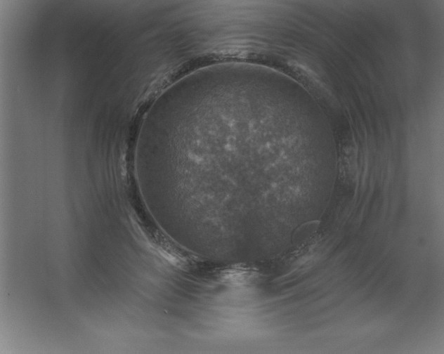 X0000062650504200512281651