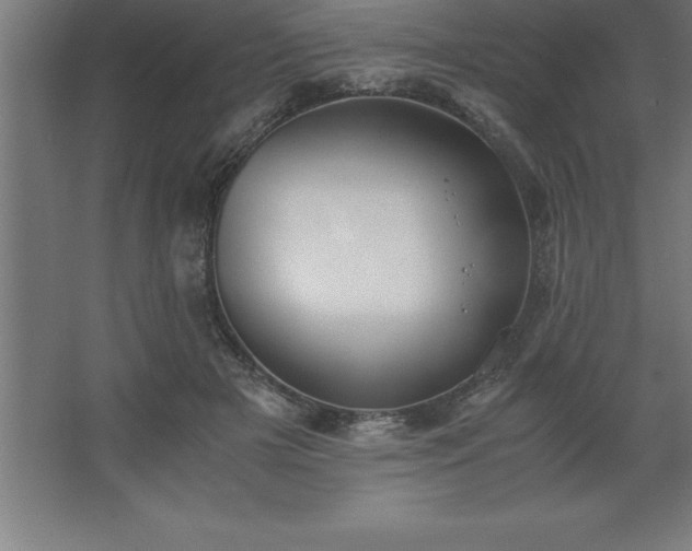 X0000062650505200512281651