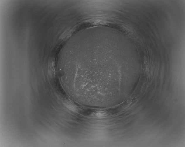 X0000062650506200512281651