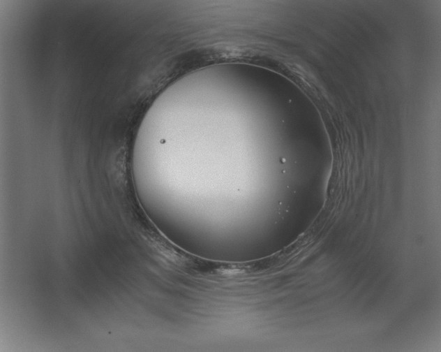 X0000062650509200512281650