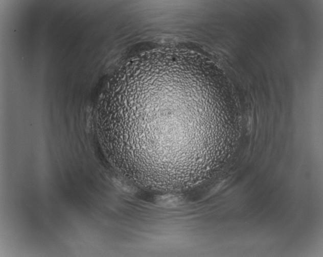 X0000062650511200512281650