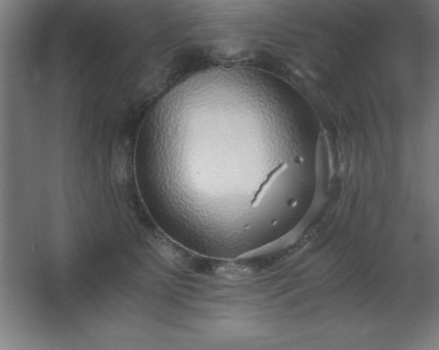 X0000062650515200512281650