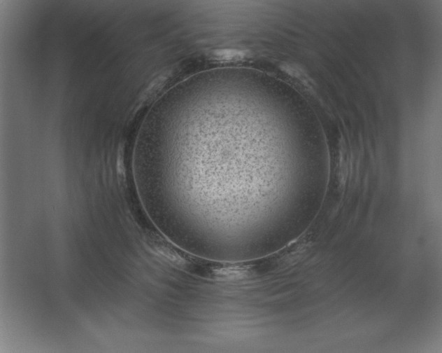 X0000062650516200512281650