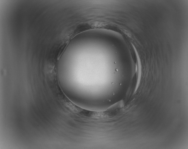 X0000062650521200512281650