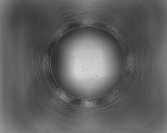 X0000062650522200512281650