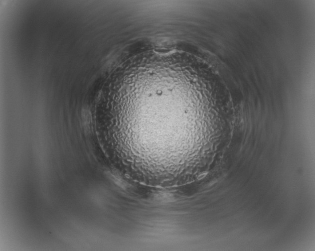 X0000062650523200512281650