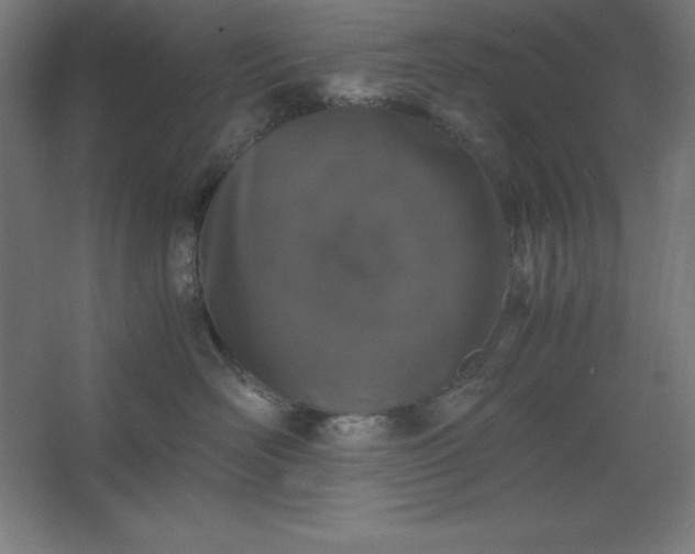 X0000062650526200512281650