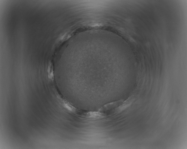 X0000062650528200512281650