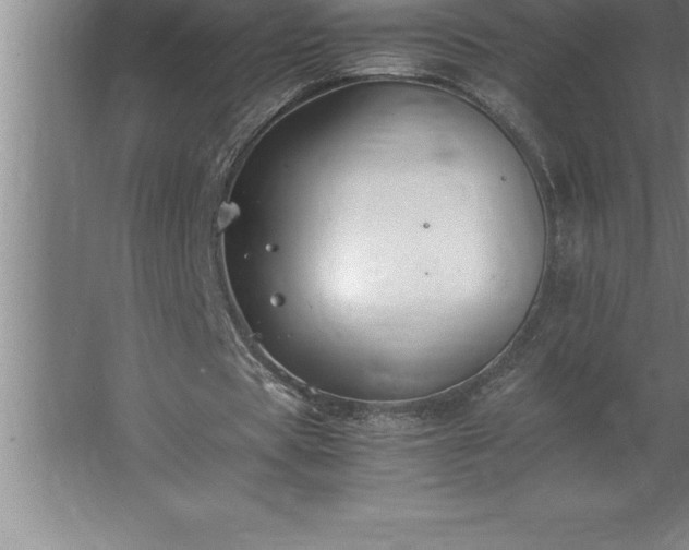 X0000062650529200512281649