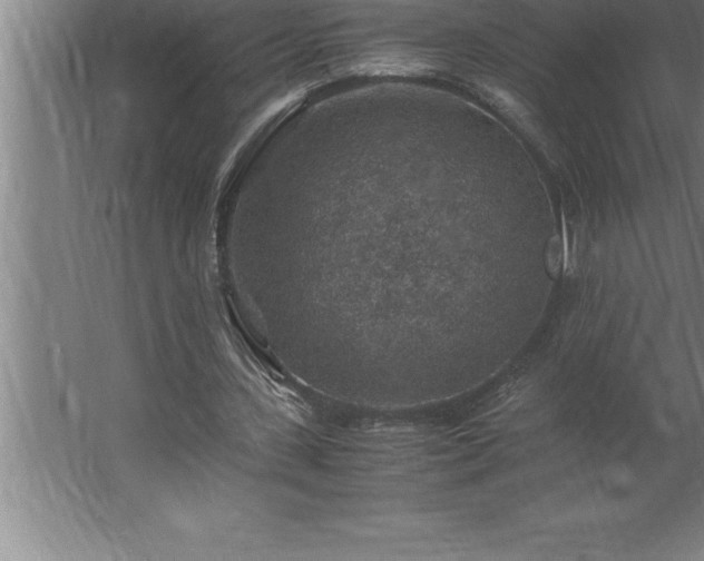 X0000062650531200512281649