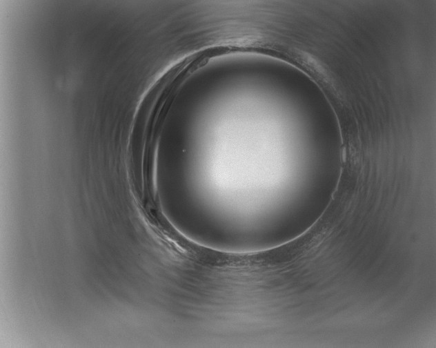 X0000062650532200512281649