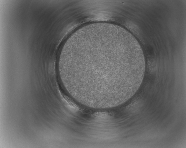 X0000062650534200512281649