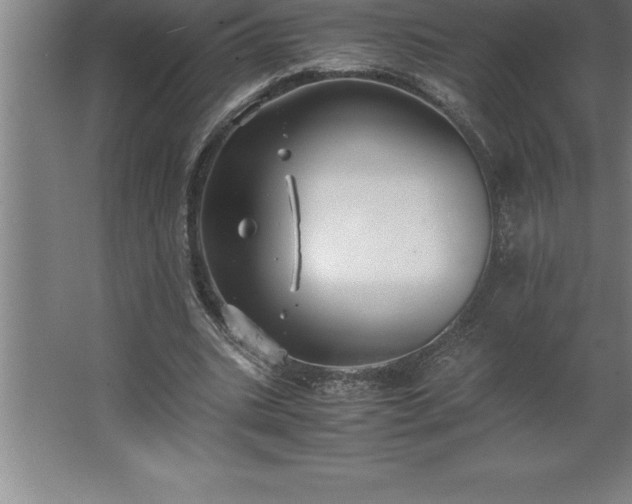 X0000062650535200512281649