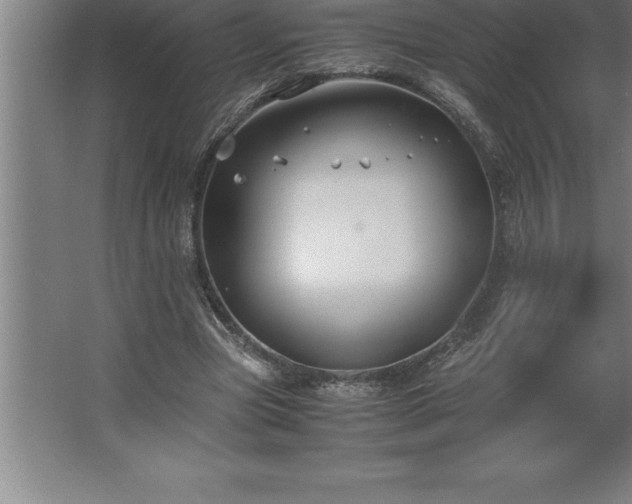 X0000062650537200512281649