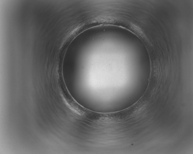 X0000062650538200512281649