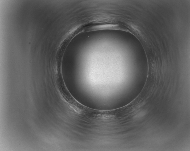 X0000062650539200512281650