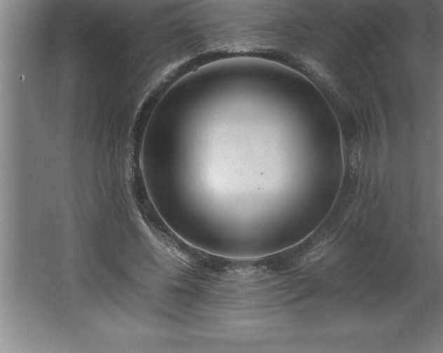 X0000062650540200512281650