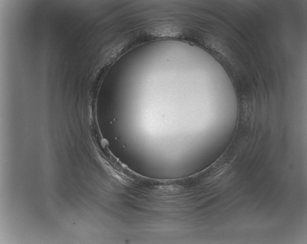 X0000062650541200512281650