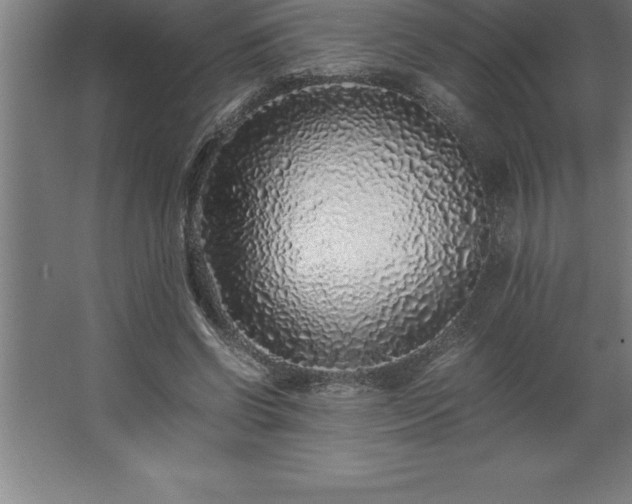 X0000062650542200512281650