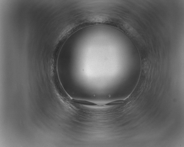 X0000062650544200512281650