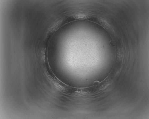 X0000062650545200512281650