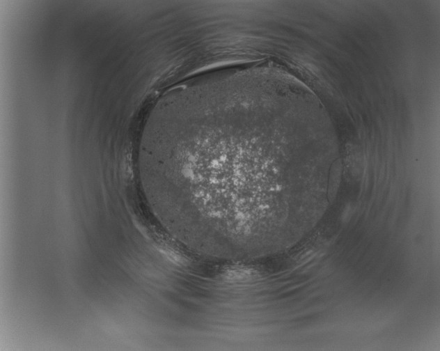 X0000062650547200512281650