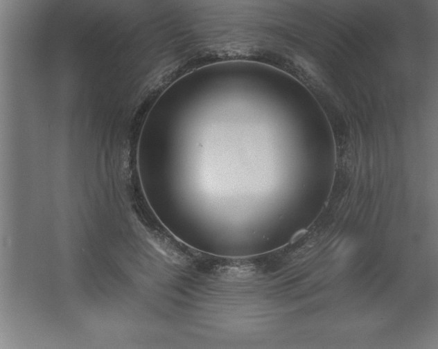 X0000062650548200512281650