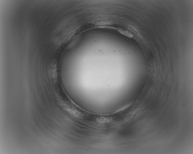 X0000062650549200512281650