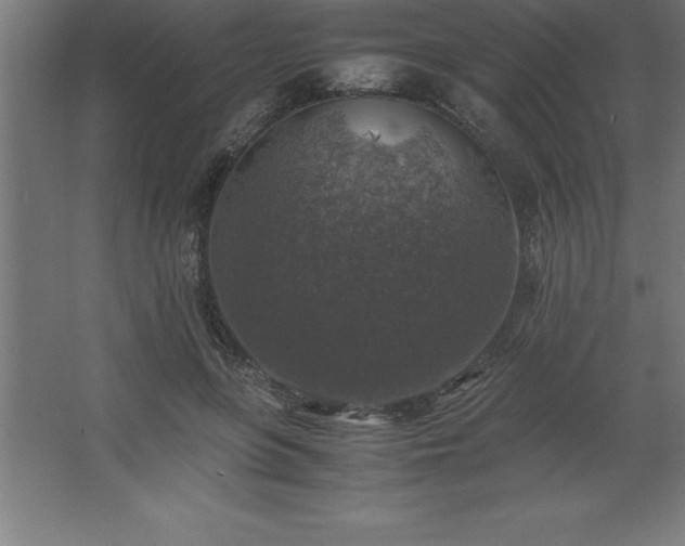 X0000062650551200512281650