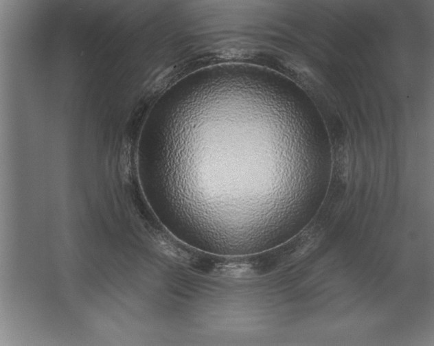 X0000062650554200512281650