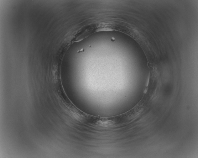 X0000062650557200512281650