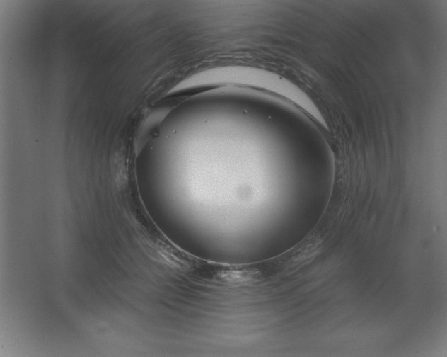 X0000062650558200512281650