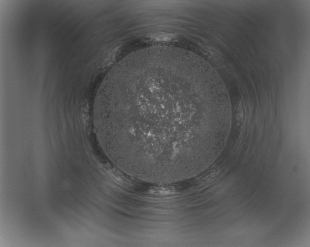 X0000062650559200512281650