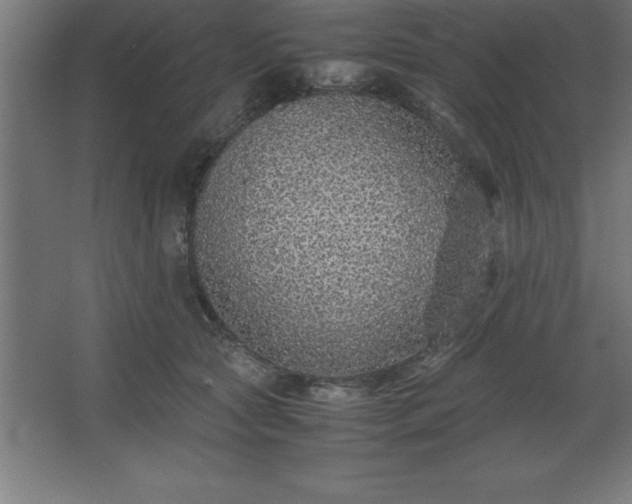 X0000062650561200512281650