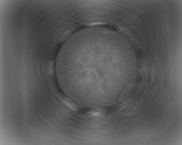 X0000062650563200512281650