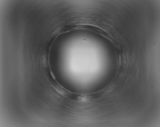 X0000062650564200512281650