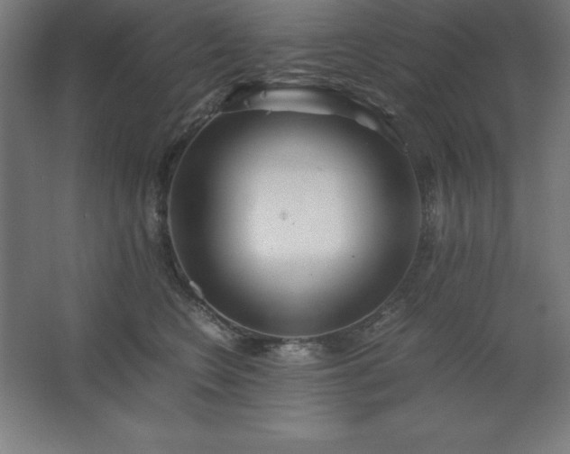 X0000062650566200512281650