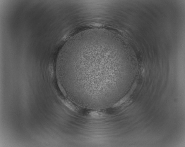 X0000062650568200512281650