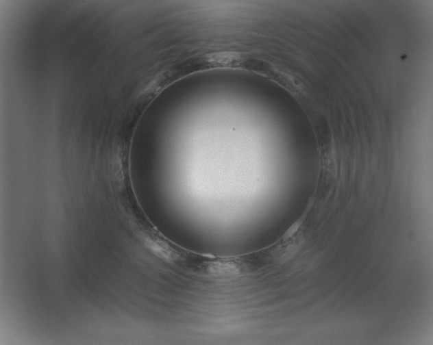 X0000062650572200512281650