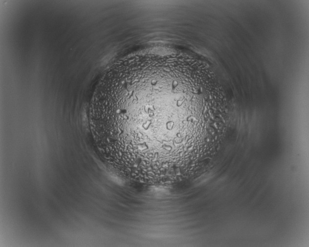 X0000062650573200512281650